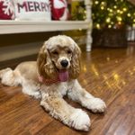 Beth Davis Peeler - @bethpeeler1107 - Instagram