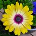 Beth Pelletier - Facebook
