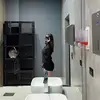 beth - @bethperezvrg - TikTok