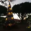 Beth perez - @eliza.hernandez0700 - TikTok
