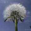 Beth Porritt - @beth.porritt - TikTok