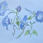 Beth Piper - @finequyne - Instagram