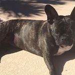 Beth Plumley - @bplumley55 - Instagram