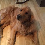 Betsy Plunkett - @betsyplunkett - Instagram