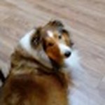 Betty A Plunkett - @bettyaplunkett - Instagram