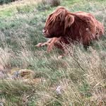Beth Pollock - @pollock_beth - Instagram