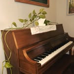 Anna Beth Puckett | Anna Beth Piano Studio - @annabeth_pianostudio - Instagram