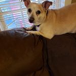 Beth Puckett - @bethpuckett92 - Instagram