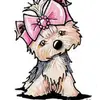 Bethany's TikToks - @bethpuckett_5 - TikTok