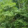 Himothy - @beth.puckett58 - TikTok