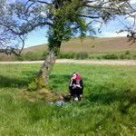 beth - @_beth_pugh - Instagram