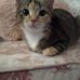 Beth Pugh - Facebook