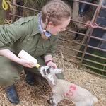 Beth Pugh - @bethapugh - Instagram