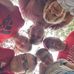 Beth Mayer Rader - Facebook