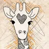 Beth Rader8688 - @bethrader8688 - TikTok