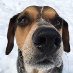 Beth Rader - @sf_betty - Instagram
