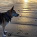 Beth Rader - Facebook