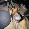 Beth Ramey - @bethy.ramey - TikTok