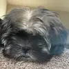 bethcrandell - @ethandell654 - TikTok