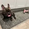bethaneerandles - @bethaneerandles - TikTok