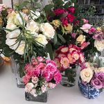 Beth Rankin - @rankins_little_farm - Instagram