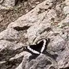 bethraper951 - @bethraper951 - TikTok