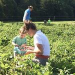 Beth Rapp - @raisedtoloveplants - Instagram