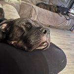 Beth Rapp - @beth.rapp63 - Instagram