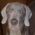 Beth Rapp - Facebook
