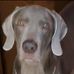 Beth Rapp - Facebook