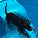 Bethany Rappaport - @barappaport - Instagram