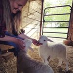 Beth Rawlings - @brawlings3 - Instagram