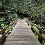 Betsy Rawlings - @bigmama_rawlings - Instagram