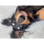 Beth Humphrey Reckner - @bethreckner - Instagram