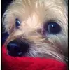 bethreck479 - @bethreck479 - TikTok