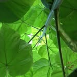 Beth Record - @earthschoolforbetterliving - Instagram