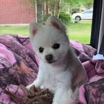 Beth Redmond - @mbredmond1314 - Instagram