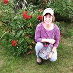 Beth Redmond - @busybeezie - Instagram