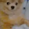 Beth Reese - @beth.reese5 - TikTok