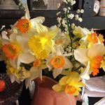 Beth Reeves - @bethreeves790 - Instagram