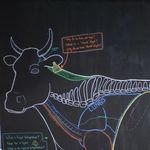 Beth Reilly - @farmvetbeth - Instagram