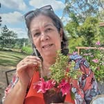 Beth Reis - @bethr_eis - Instagram