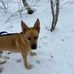 Beth Reisinger - Facebook