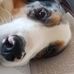Elisabeth Reisinger - Facebook