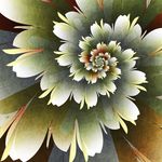 Beth Reiter - @bethmreiter - Instagram