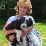 Beth Reiter - @bethreiter - Instagram