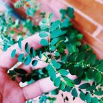 beth renfro - @bethrenfro0.36 - Instagram