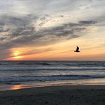 Beth Renner Reusser - @b.reusser - Instagram