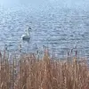 bethrennerreusser - @bethrennerreusser - TikTok