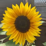 Beth - @beth_reno_home - Instagram